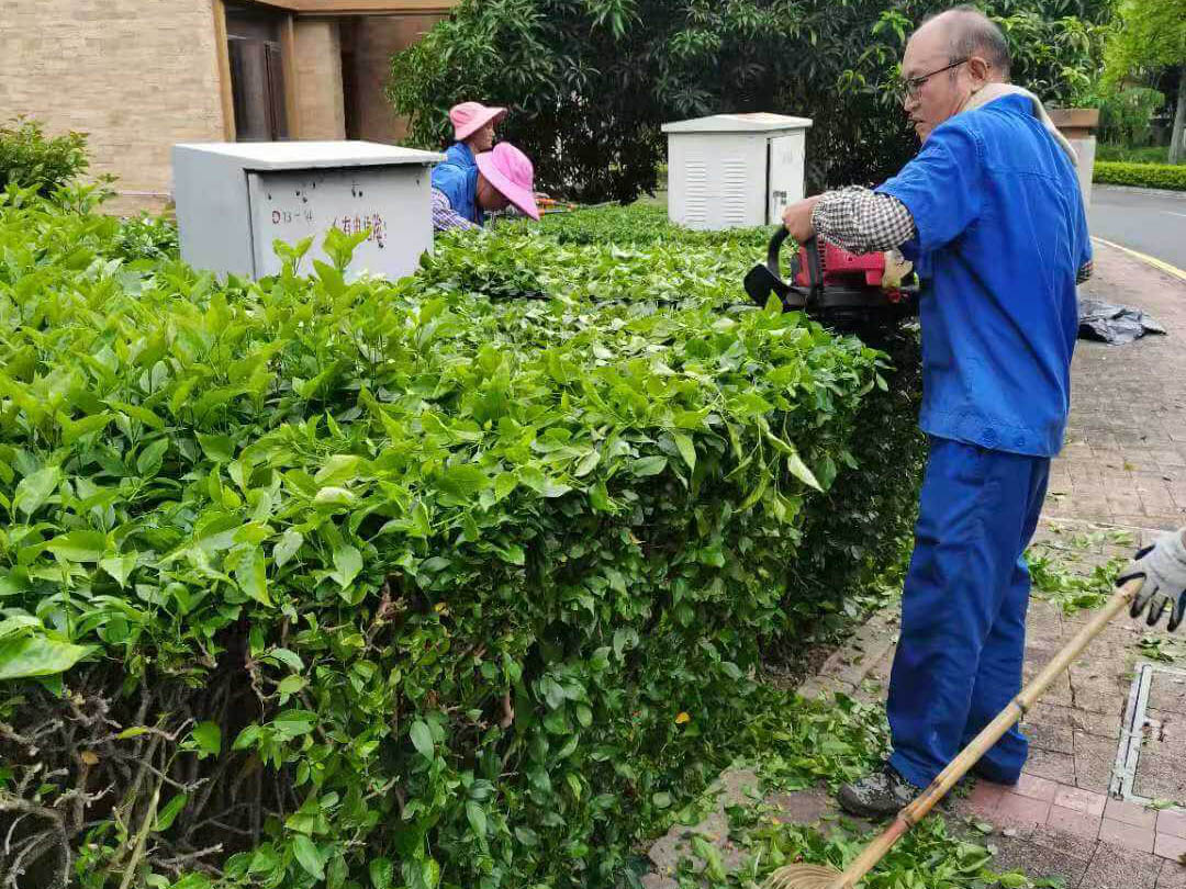 深圳观湖园冬季小区绿化养护事情