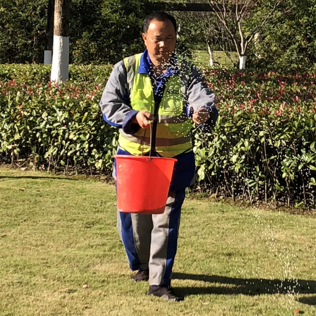 秋季园林绿化养护施肥